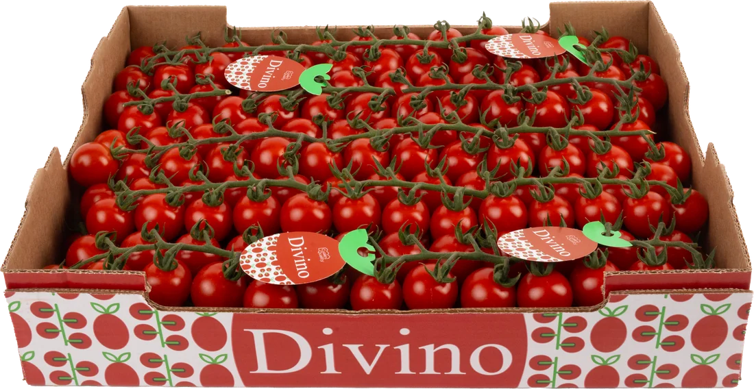 Caja Divino de 3 kg de tomate cherry en rama