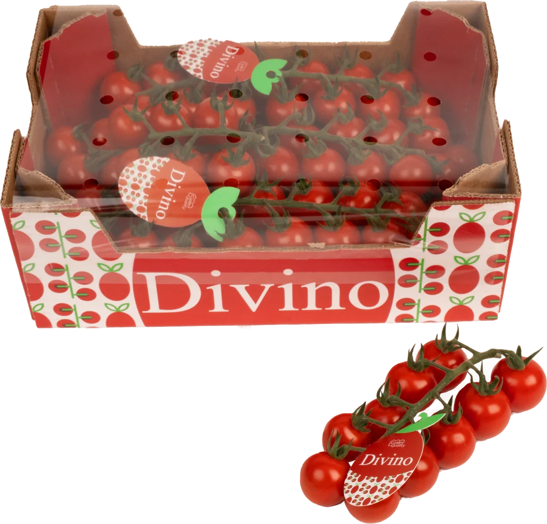 Caja Divino de 1,5 kg con cubierta de tomate cherry en rama
