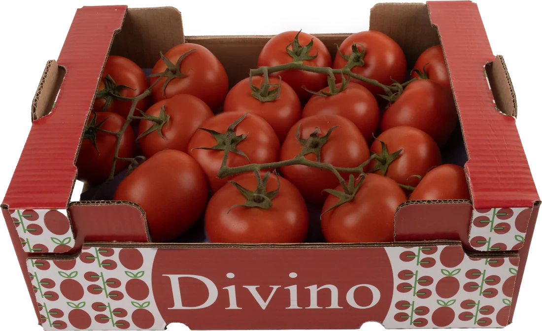 Caja Divino de 6 kg de tomate pera