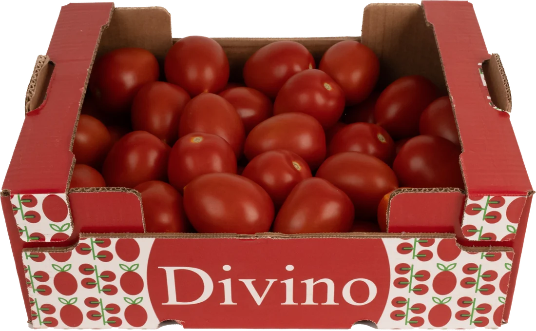 Caja Divino de 6 kg de tomate en rama