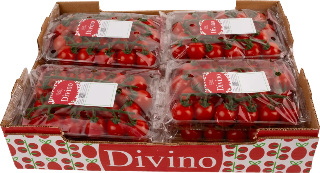 Divino Flowpack 300 g de tomate cherry en rama
