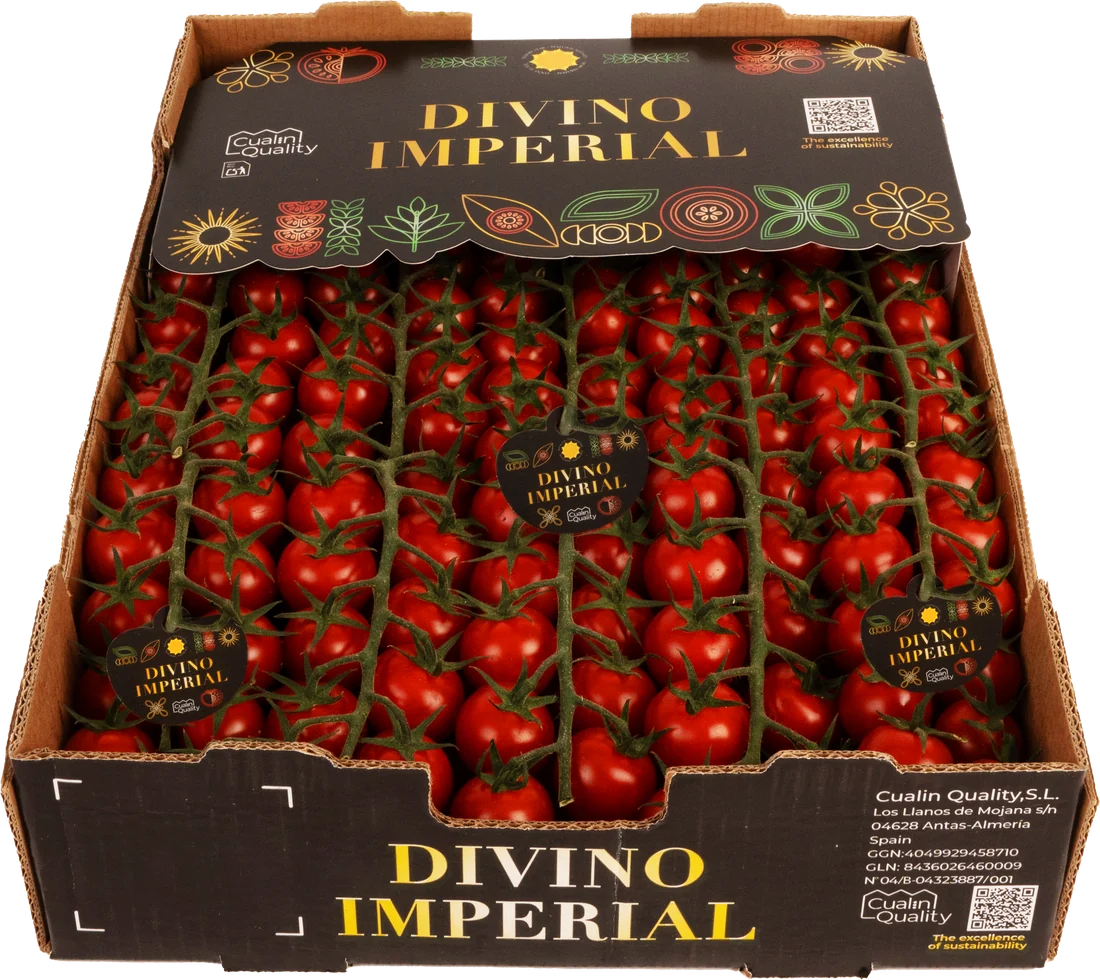 Caja Divino Imperial de 3 kg de tomate cherry en rama