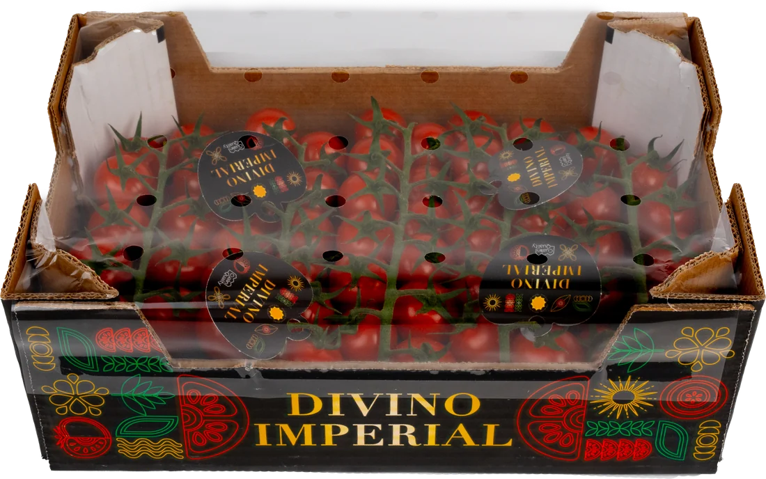 Caja Divino Imperial de 1,5 kg con cubierta de tomate cherry en rama