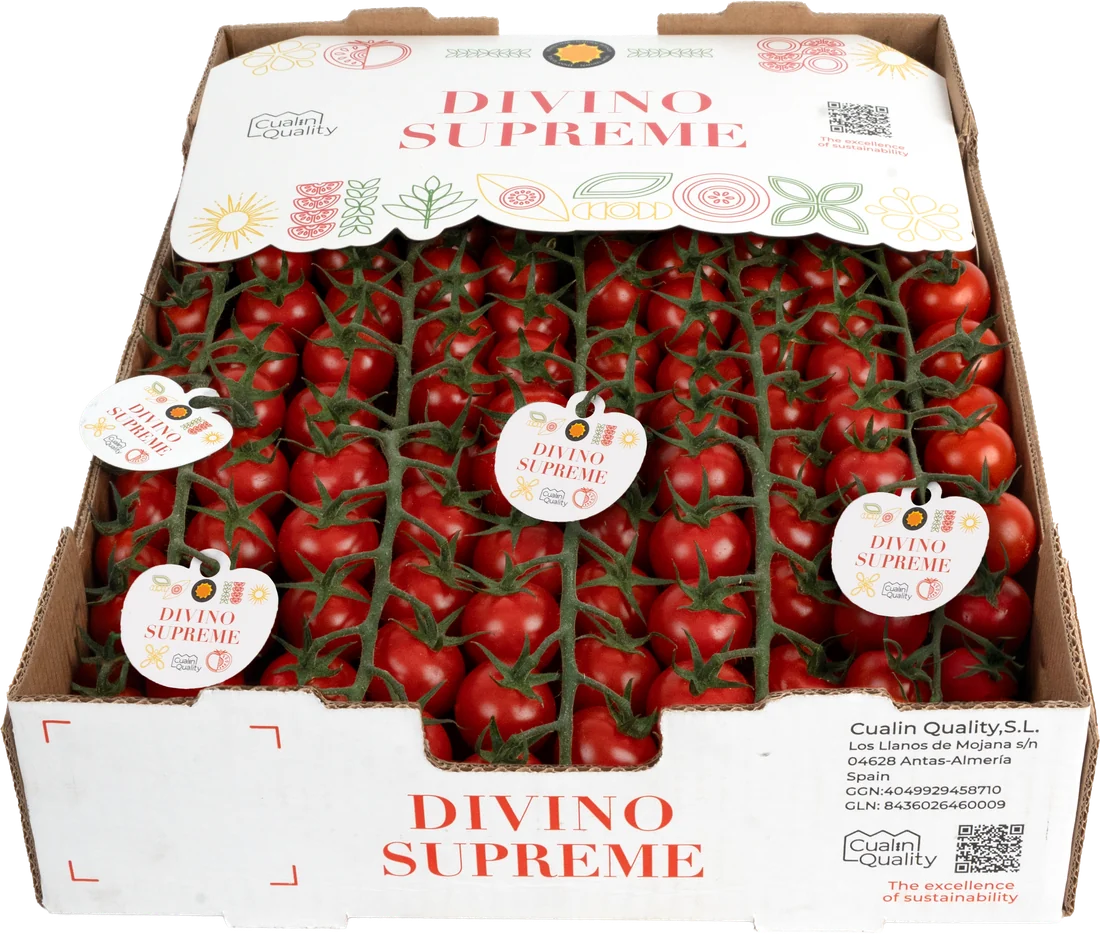 Caja Divino Supreme de 3 kg de tomate cherry en rama