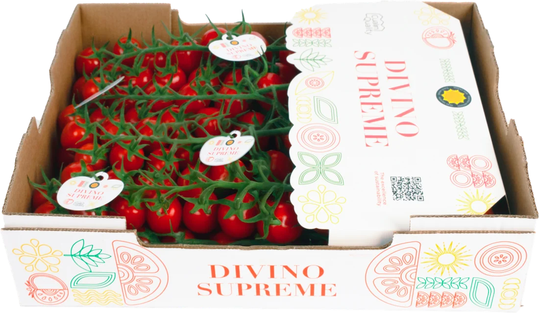 Caja Divino Supreme de 3 kg de tomate cherry pera en rama