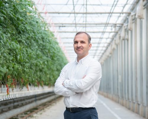 Pasillo central de uno de los invernaderos de alta tecnología de Cualin Quality en Antas